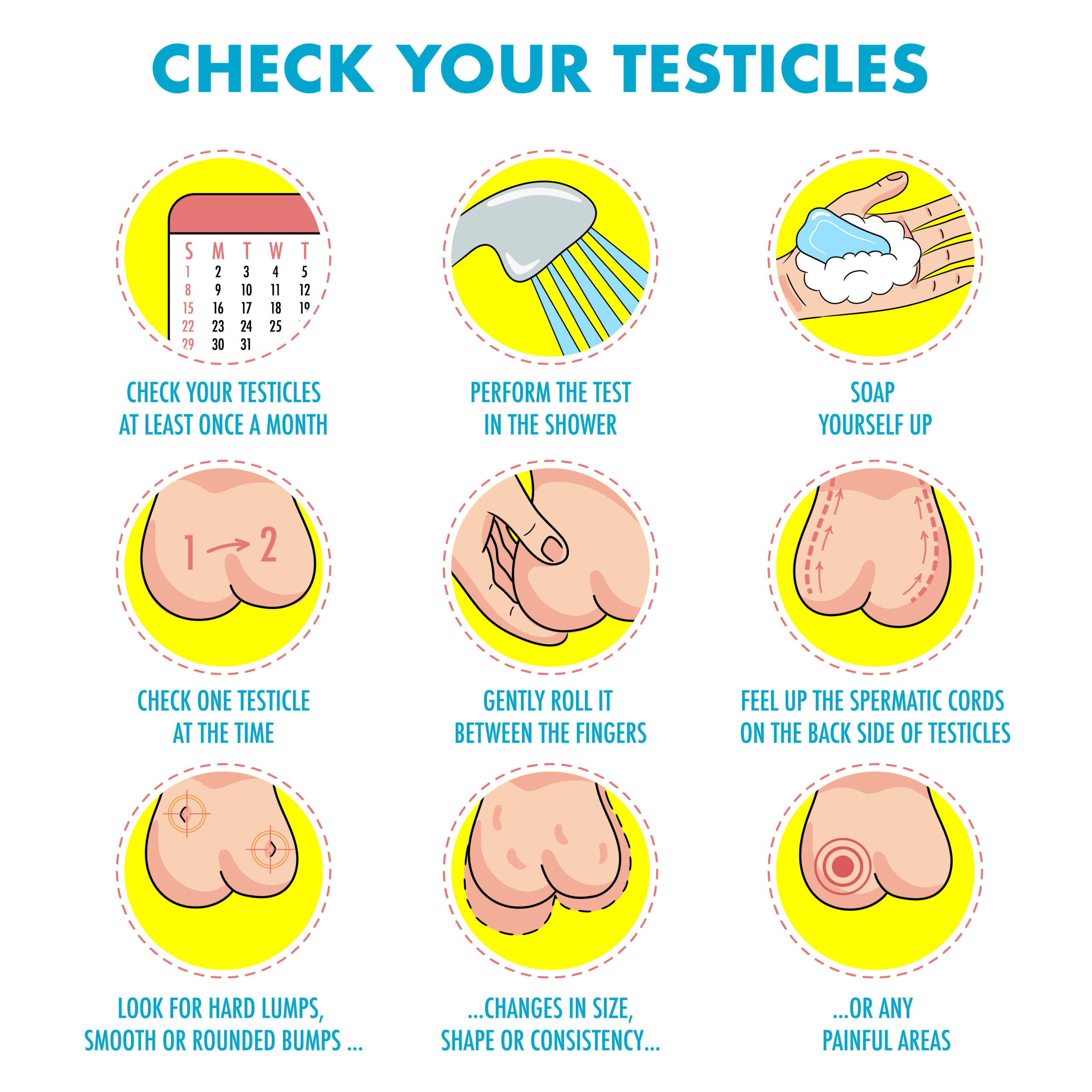 Testicles self exam. Testicle cancer symptoms and monthly examination infographics. Vector icon set.I Illustration for flyers, brochures, web resources, health centers.